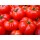 Fototapetai Raudoni pomidorai